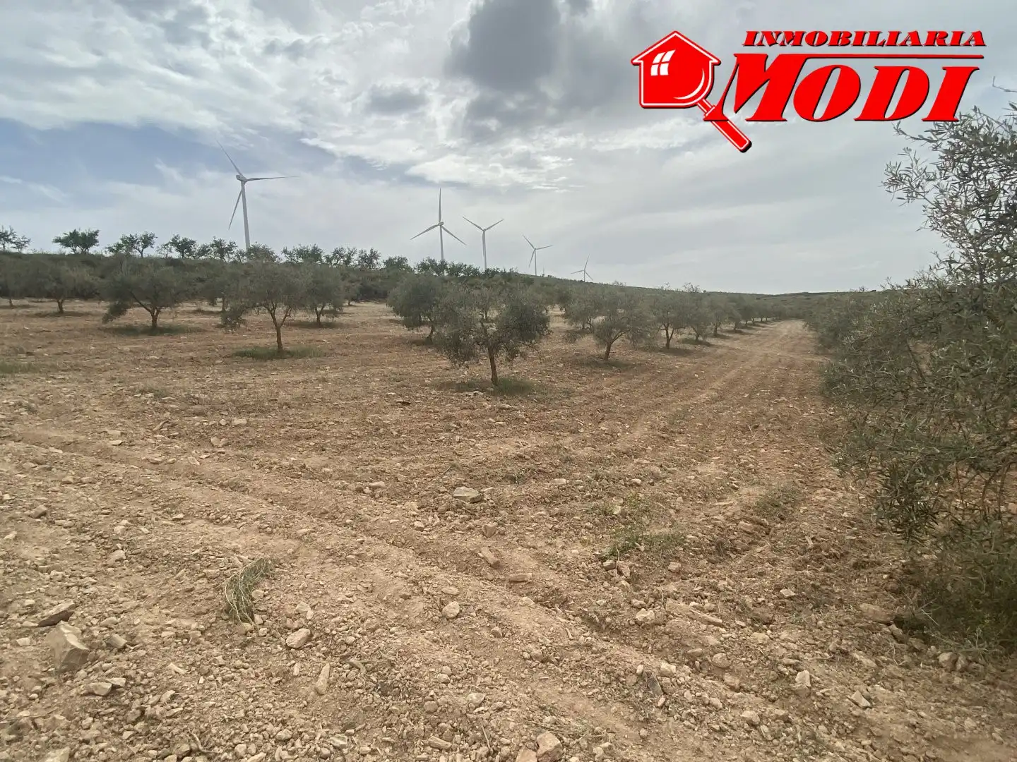 Terrenys i solars en venda a Padul, imagen 5