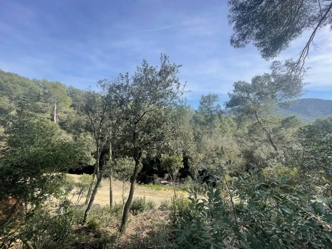 Rural land for sale in Avenida Modolell, imagen 5