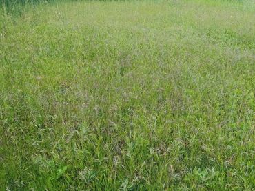 Terreno residenziale in vendita a Santa Maria de Palautordera