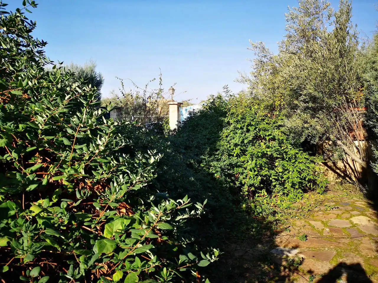 Jardí de Casa o xalet en venda en Linares