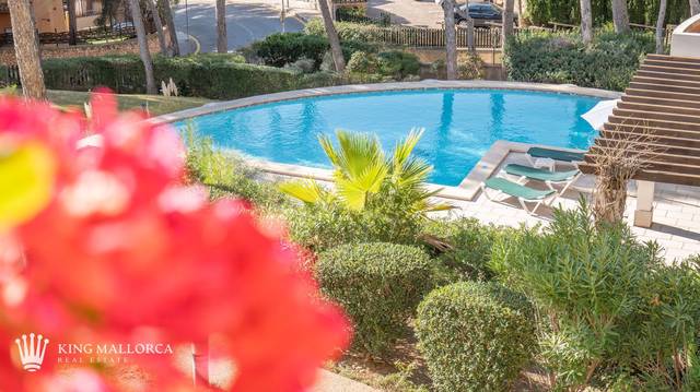 Apartamento en Alquiler en cala fornells, 56 en Peguera