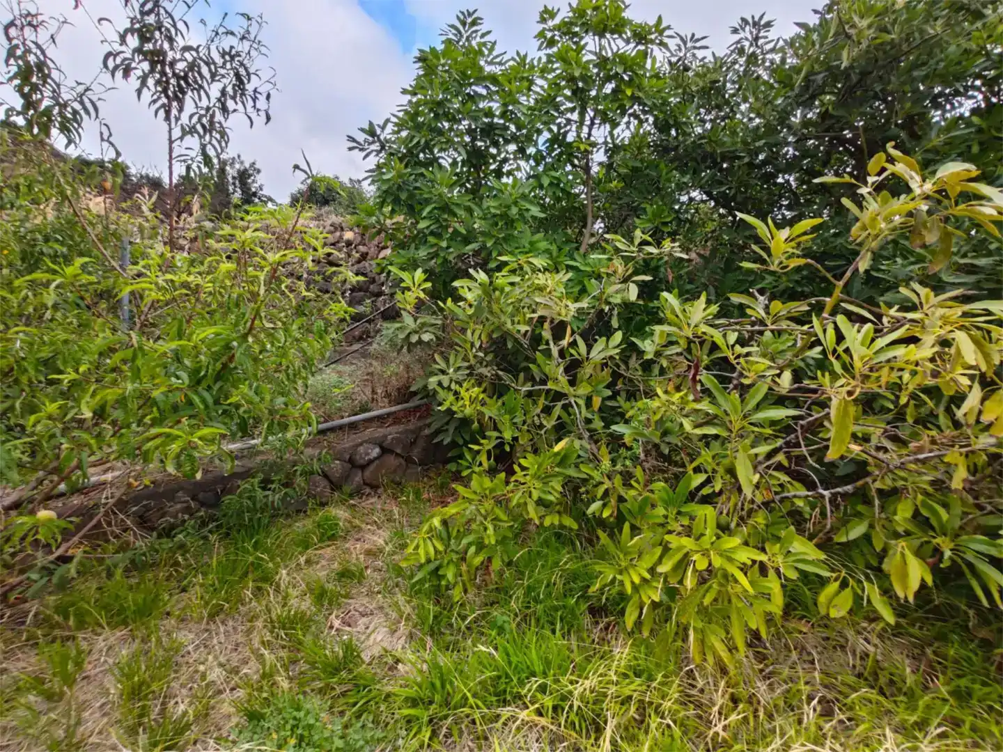 Casa o chalet en venta en Breña Alta con Jardín privado, Trastero y Amueblado