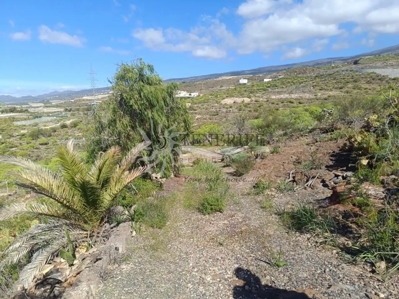 Terreny rústic en venda a General Piedra Hincada A Tejina 89, imagen 3