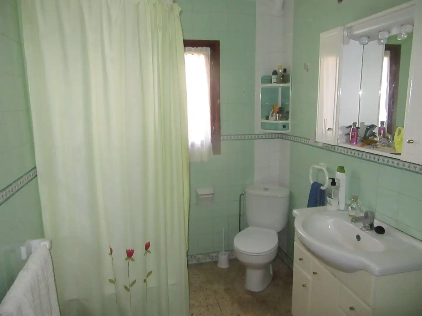 Baño de Casa o chalet en venta en Aragüés del Puerto con Jardín privado, Terraza y Trastero