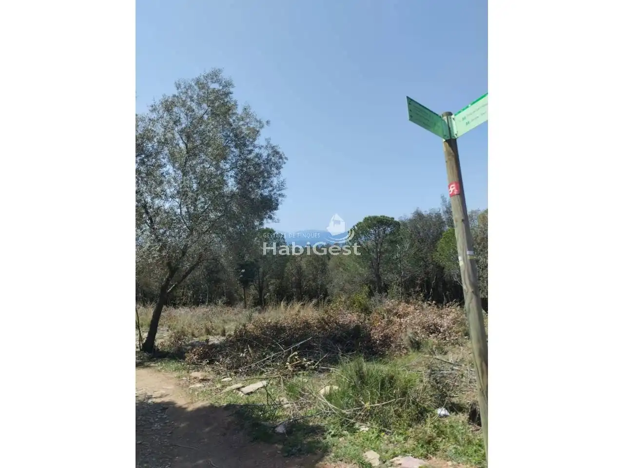 Land for sale in Girona