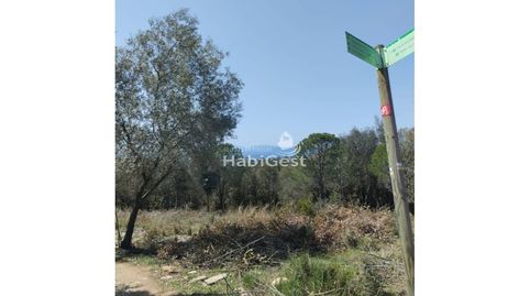 Foto 5 de Terreno en venta en Sant Daniel, Sant Daniel, Girona Capital