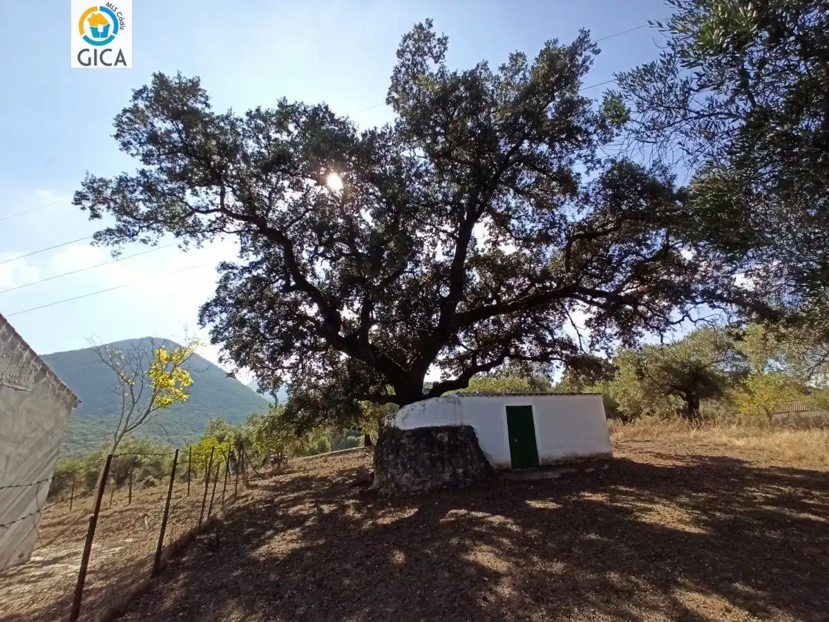 Casa rústica en venda a El Bosque, imagen 17