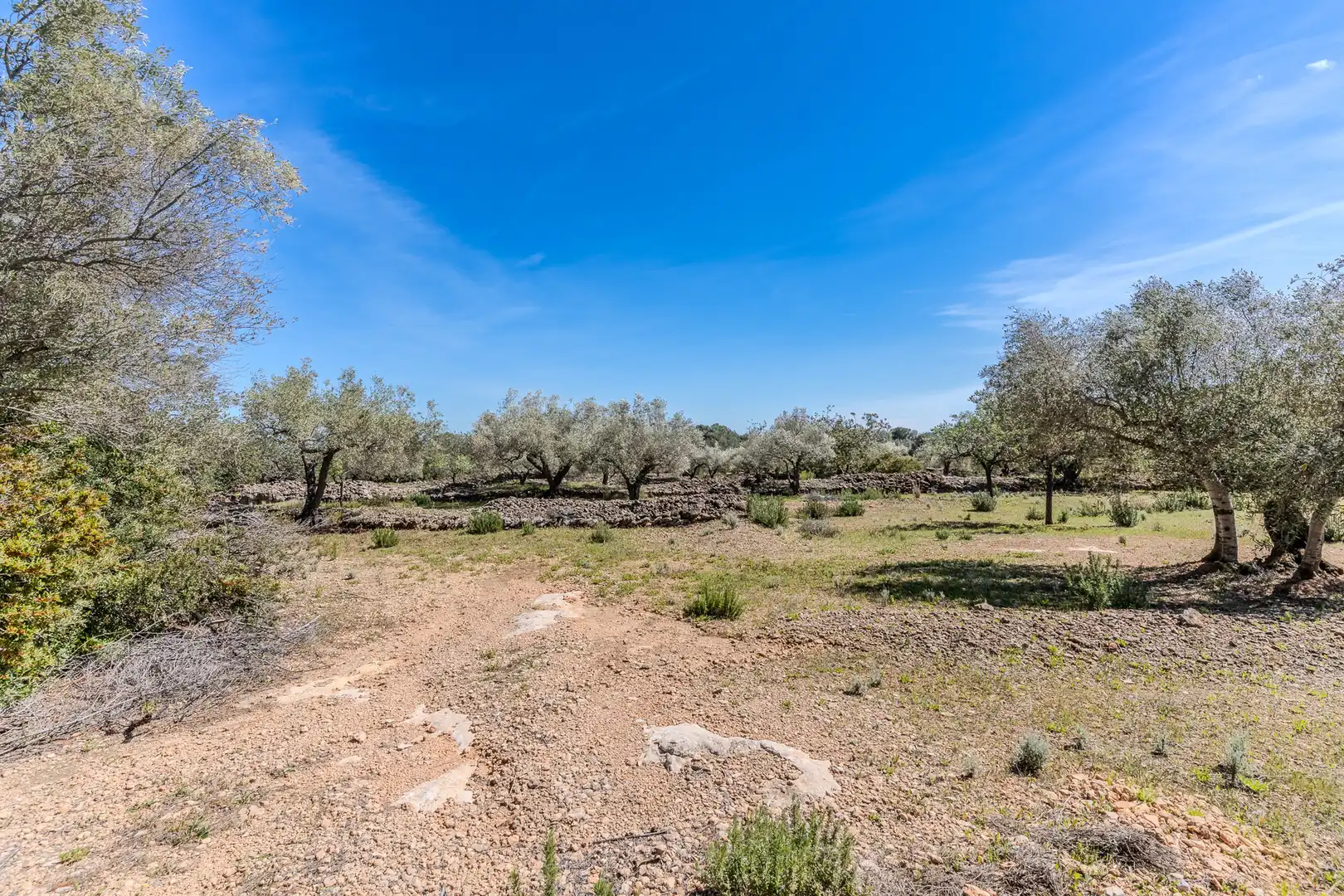 Land for sale in El Perelló