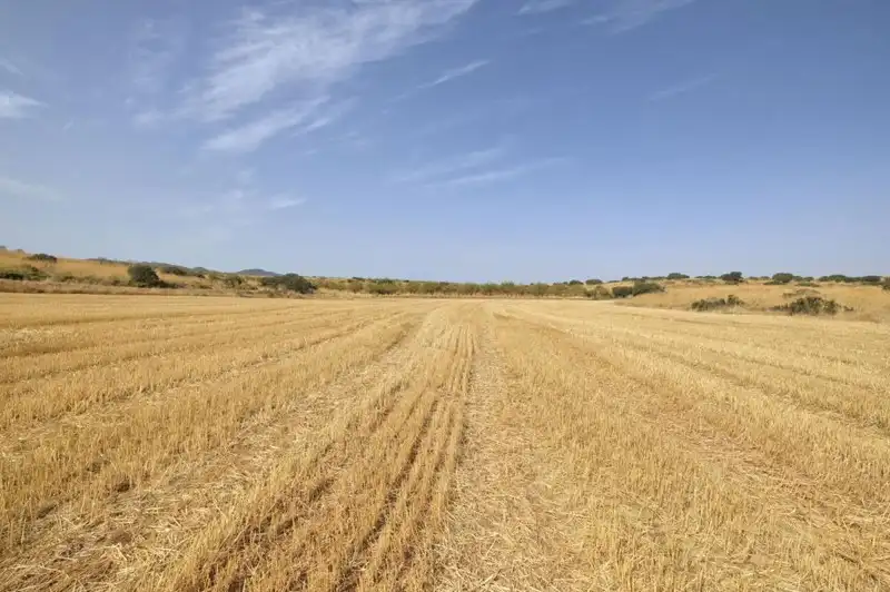 Terreni e lotti in vendita a Padul, imagen 24