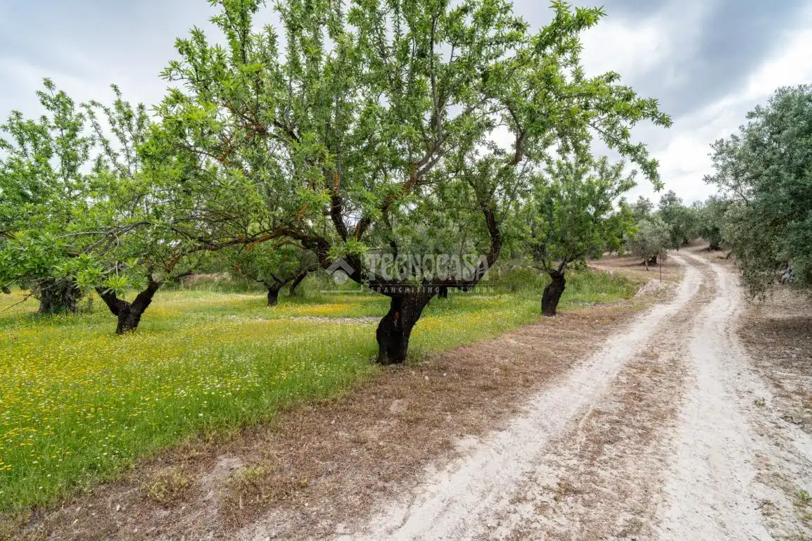 Terreni e lotti in vendita a Albaicín, imagen 20