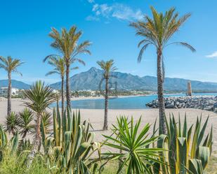 Garden of Single-family semi-detached for sale in Marbella  with Air Conditioner, Heating and Private garden