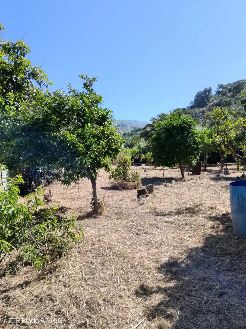 Finca rústica en venda en Santa Brígida