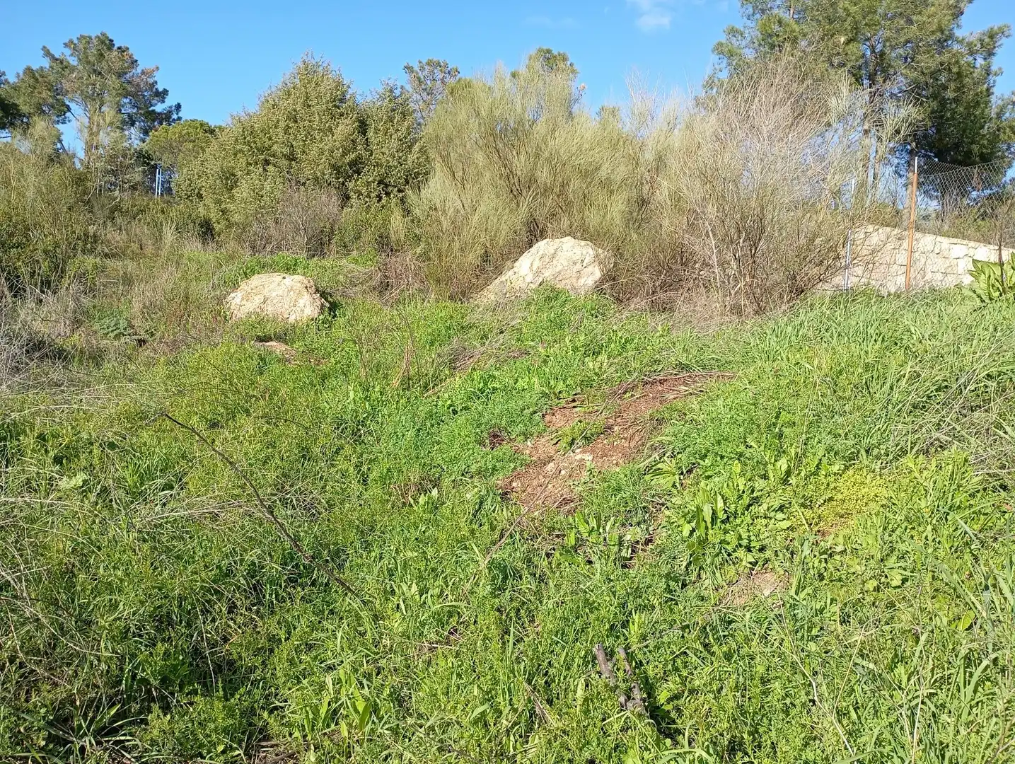 Terreni e lotti in vendita a Robledo de Chavela, imagen 12
