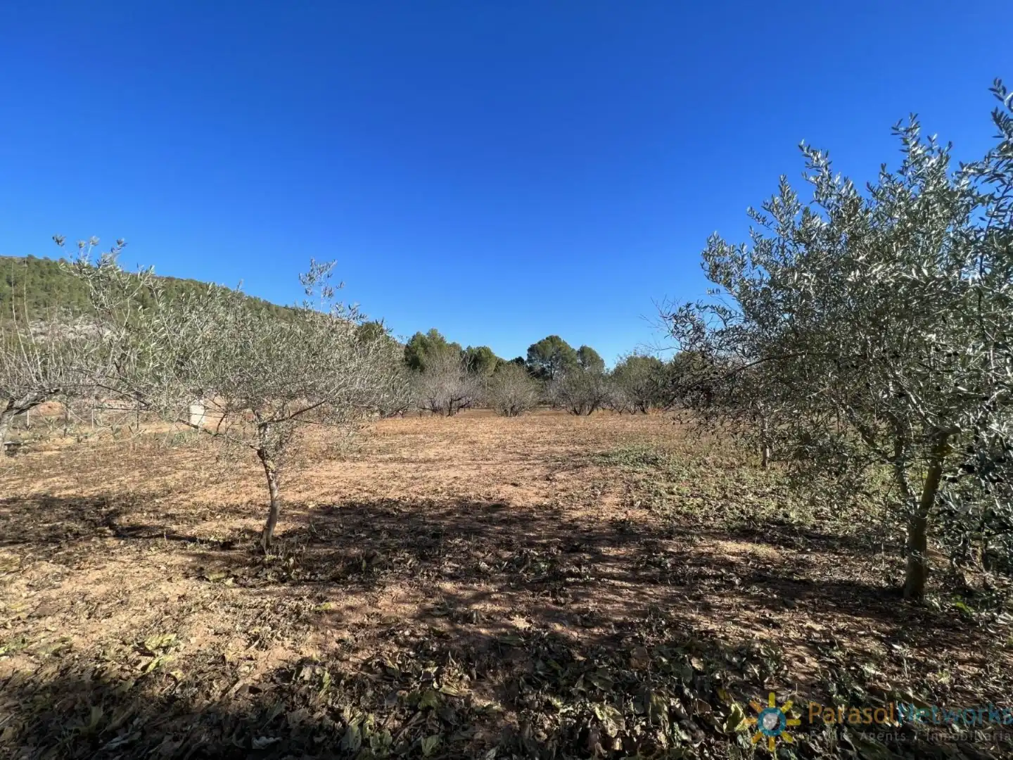 Villa con giardino in vendita a L'Olleria, imagen 40