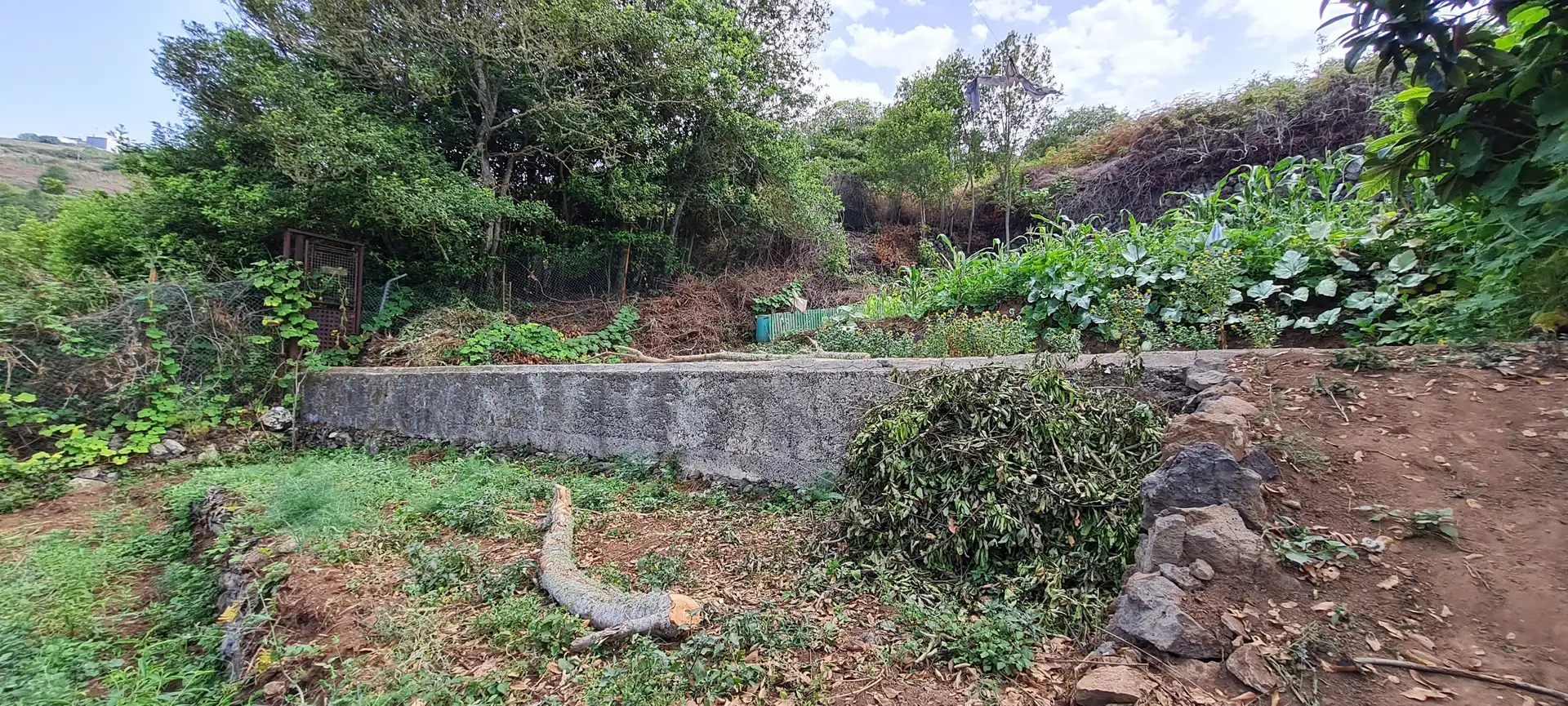 Finca rústica en venda a Icod de los Vinos pueblo