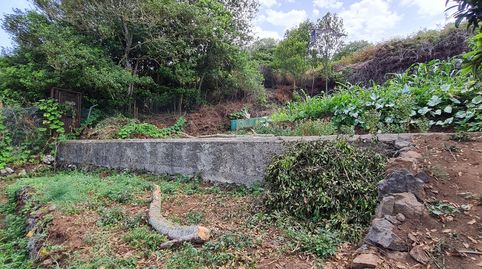 Foto 4 de Finca rústica en venta en Icod de los Vinos pueblo, Icod de los Vinos