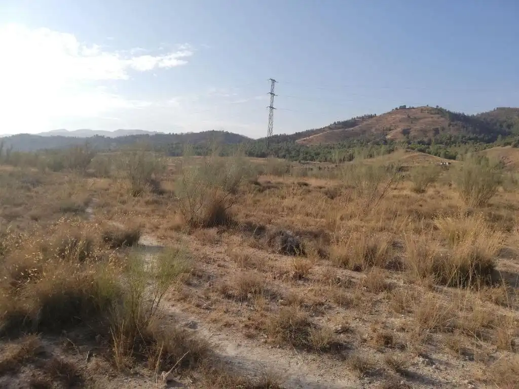 Terreny rústic en venda a Fondón, imagen 3