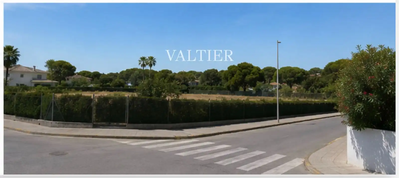 Land for sale in L'Eliana