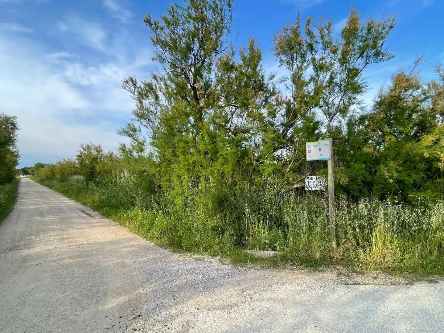 Rural land for sale in Sant Pere Pescador, imagen 39
