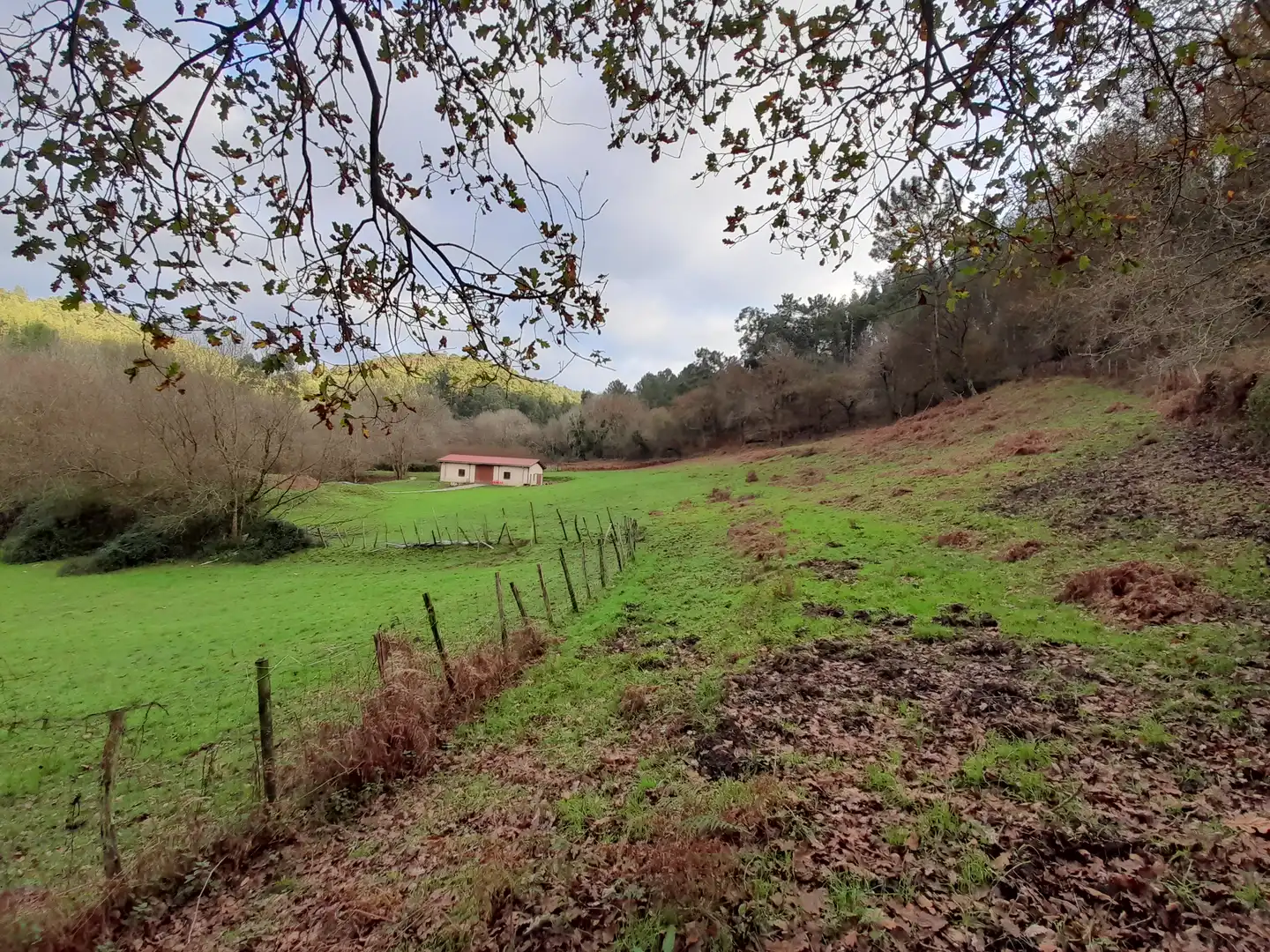 Finca rústica en venta en Lemoiz