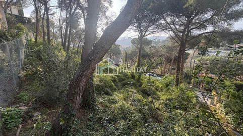 ESTA BUSCANDO PARCELA PARA CONSTRUIR SU CASA?? AQUÍ LA TIENE!!, immagine 2