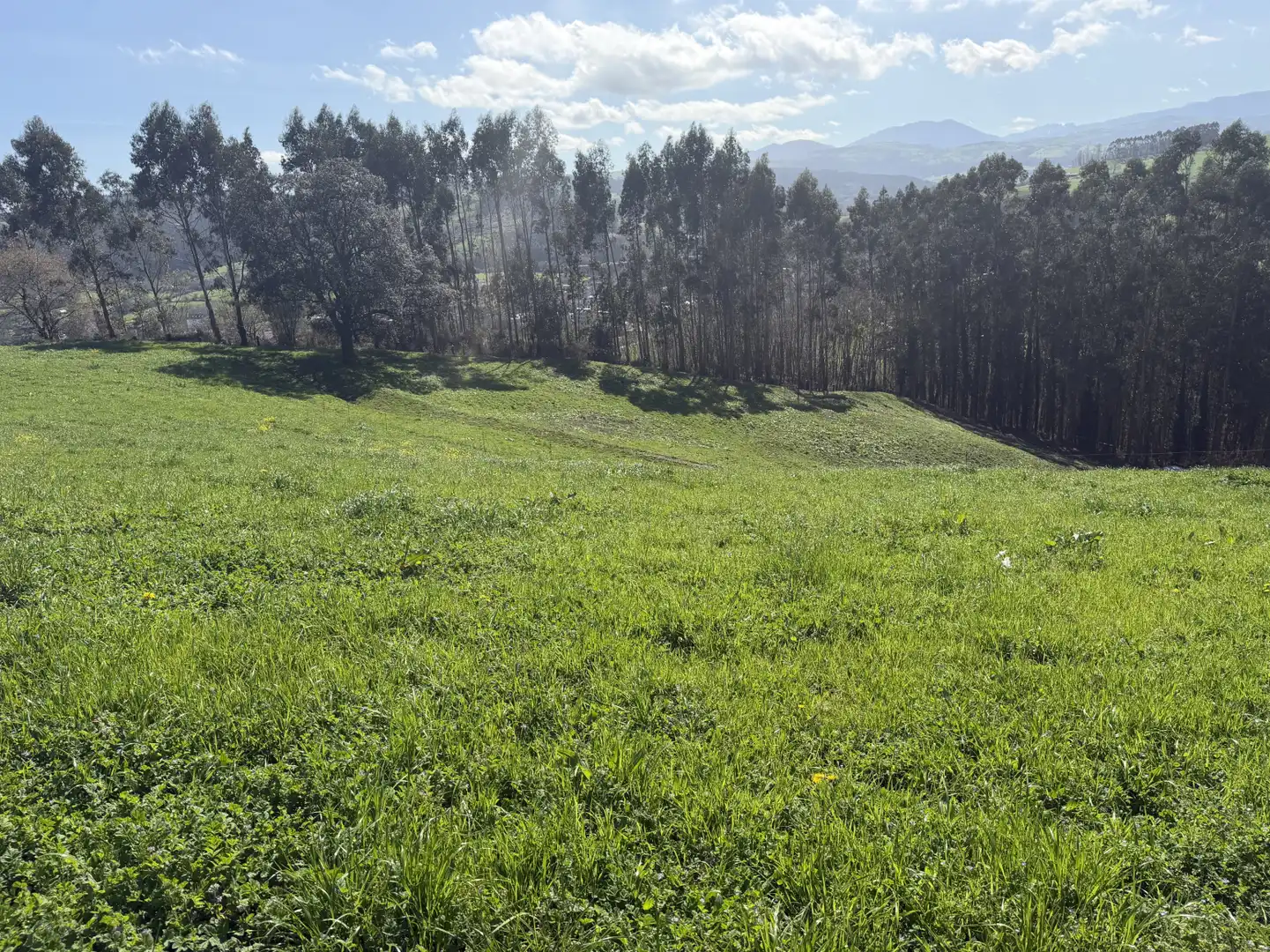 Casa o xalet en venda en Hazas de Cesto