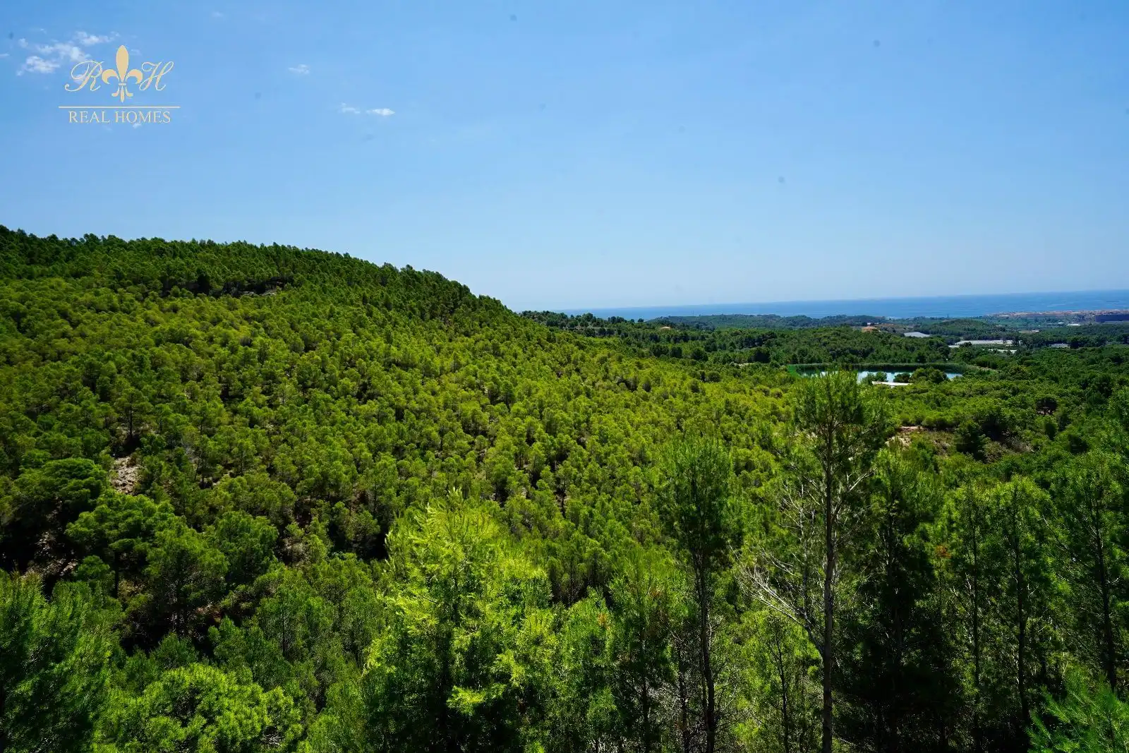 Detached house for sale in Altea la Vella, imagen 4