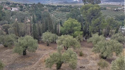 Foto 4 de Casa o chalet en venta en Puente Tablas - Puente Nuevo - Cerro Molina, Jaén Capital