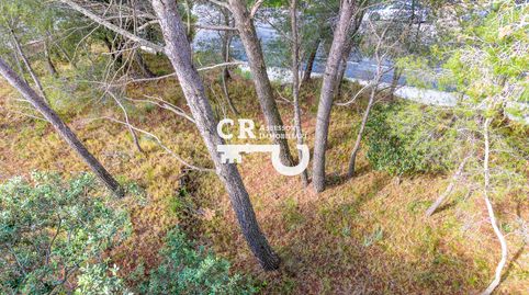 Oportunidad Inigualable: Terreno con Vistas en Almoster, immagine 4