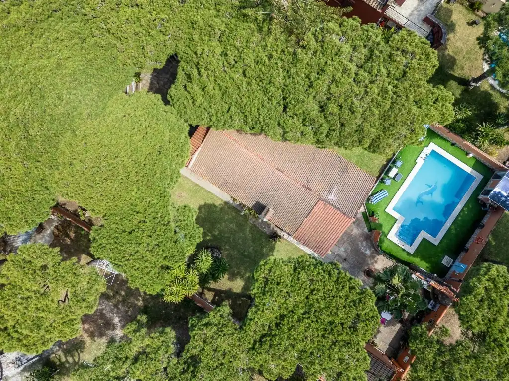 Jardí de Casa o xalet en venda en Chiclana de la Frontera amb Aire condicionat, Calefacció i Jardí privat