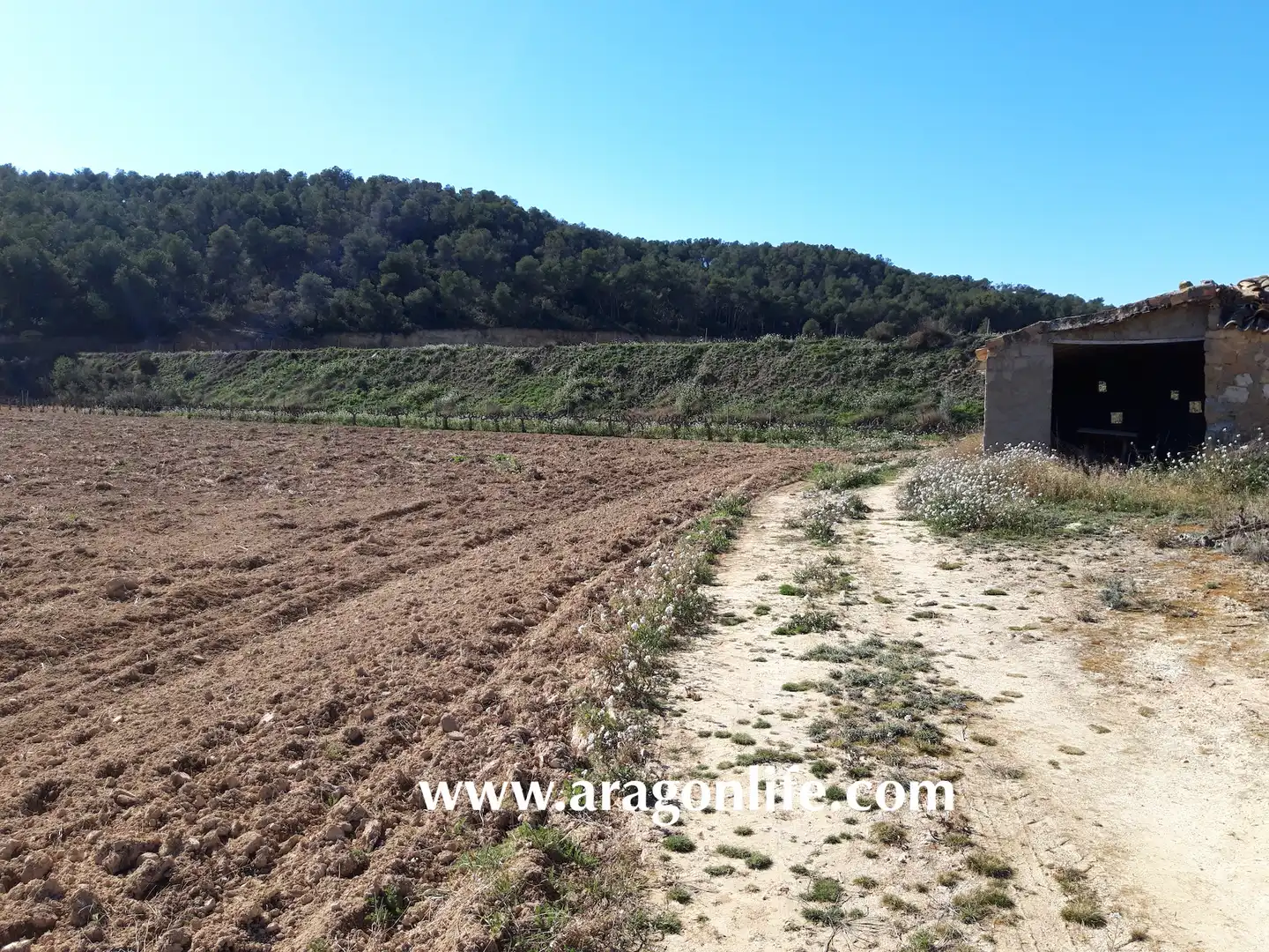 Finca rústica en venta en Nonaspe