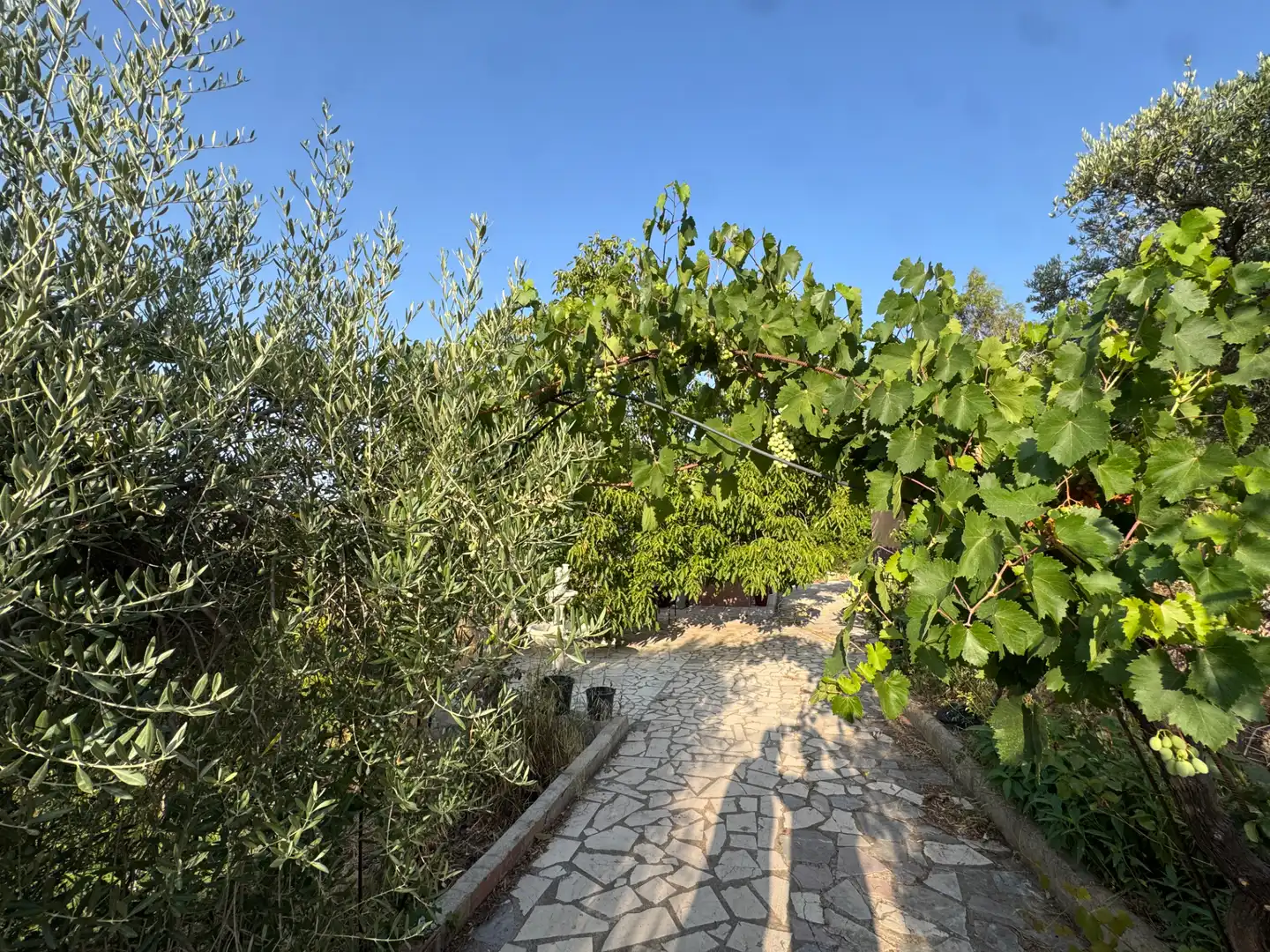 Detached house with terrace for sale in Carretera de Murcia 13, imagen 9