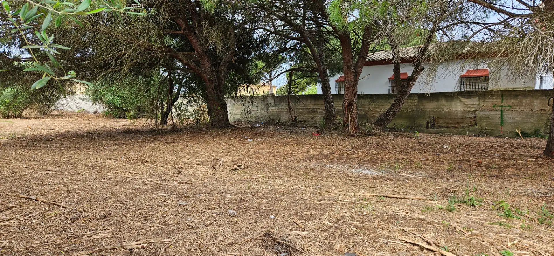 Terrenys i solars en venda a Las Lagunas - Campano, imagen 6