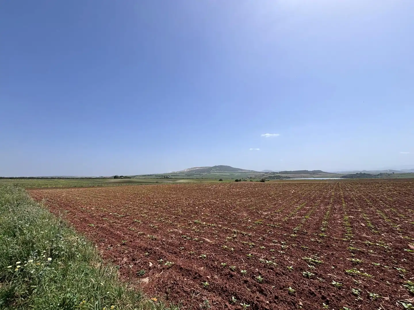 Terreny rústic en venda a Arcos de la Frontera, imagen 4