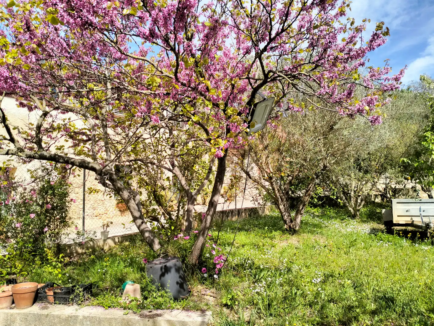 Jardín de Residencial en venta en Vilanant