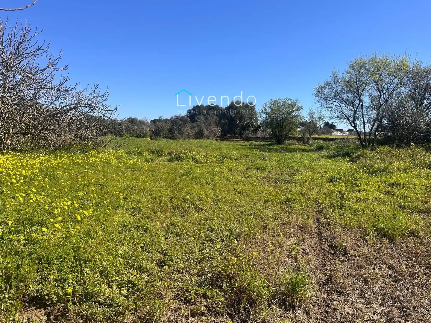 Residential land for sale in Los Franceses – La Vega, imagen 7