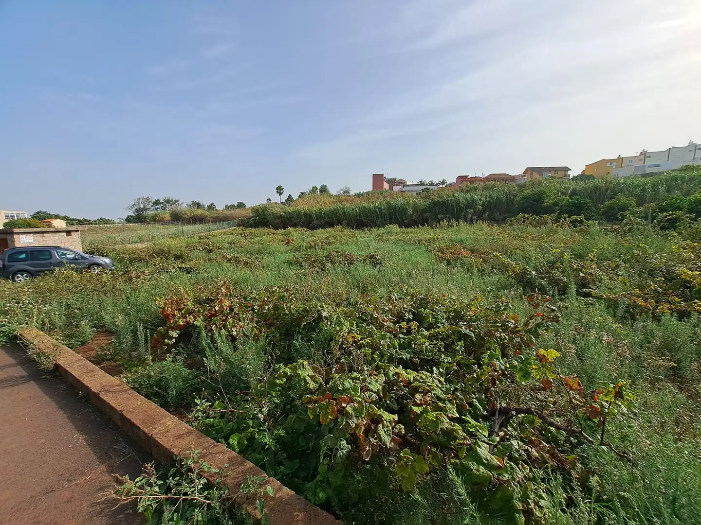 Rural land for sale in Tacoronte - Los Naranjeros, imagen 9