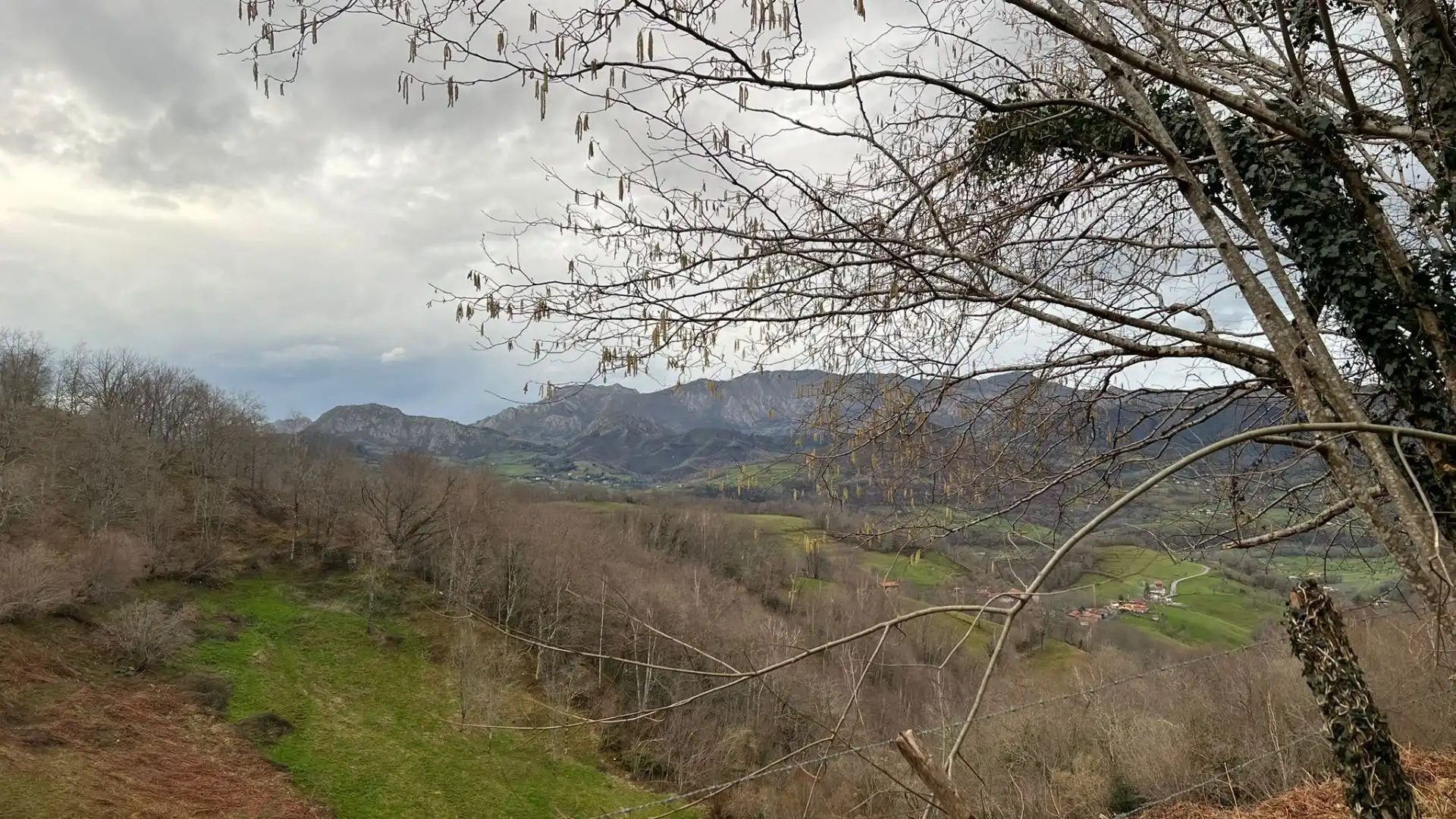 Terreno rustico in vendita a Cangas de Onís, imagen 21
