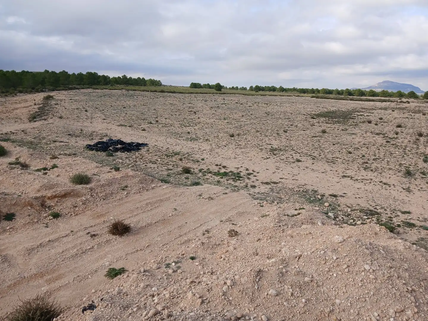 Residential land for sale in Yecla, imagen 33
