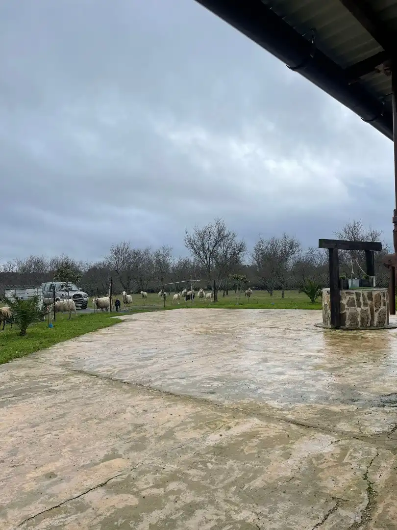 Haus mit Pool zum Verkauf in Carretera Malpartida, imagen 16