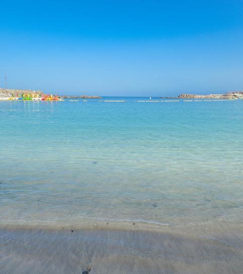 Photo 2 of Premises to rent in Puerto Rico, Las Palmas