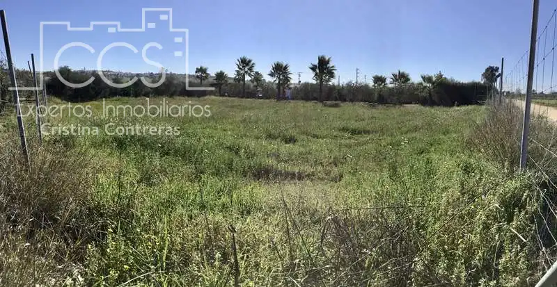Terreny rústic en venda a Aznalcázar