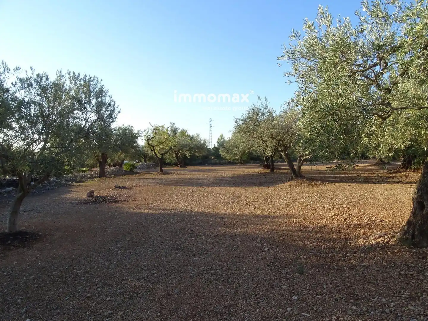 Terrain rustique à vendre à 14, imagen 3