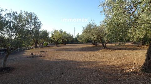 Finca rústica en venta en Xerta con agua, immagine 3
