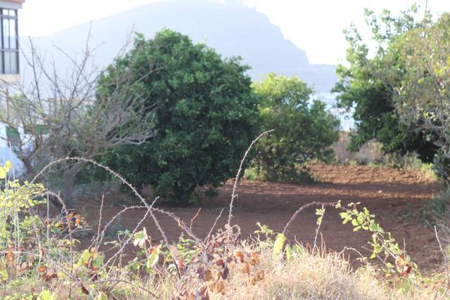 Terreno residencial en Venta en Campo de Golf - Agua García - Juan Fernández