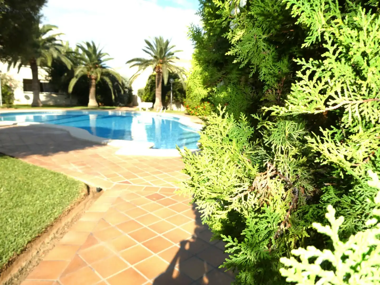 Ático con terraza en venta en Las Marinas / Les Marines, imagen 2