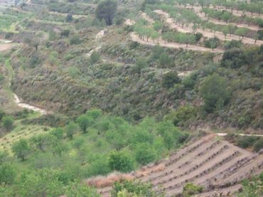 Terreno residencial en venta en Benissa pueblo