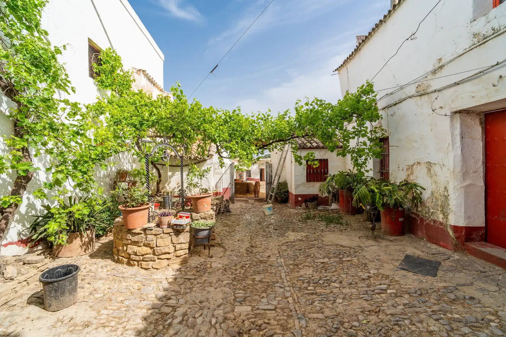 Casa in vendita a Olvera, Spain Polígono 24 Parcela 159 - La Mota, imagen 6