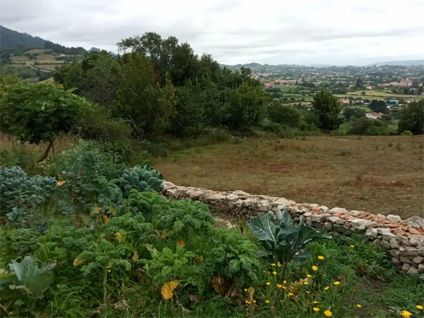 Casa o chalet para compartir en Gijón  con Jardín privado, Trastero y Amueblado