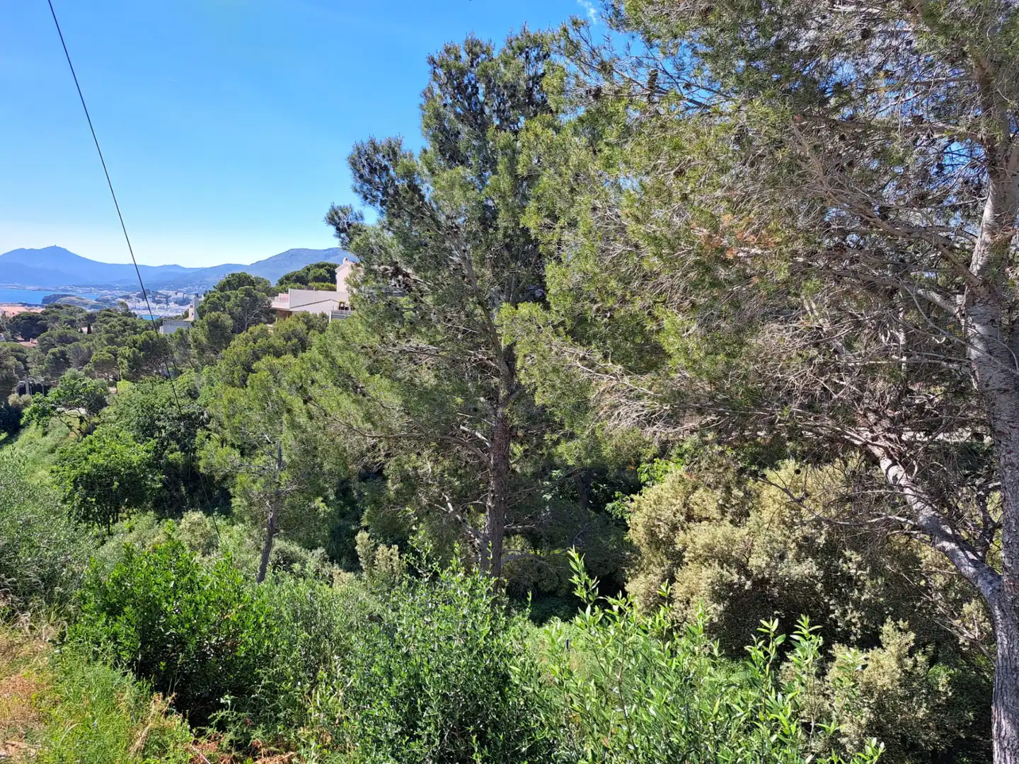Residential zum Verkauf in Grifeu - Cap Ras - Els Estanys - Sant Genís